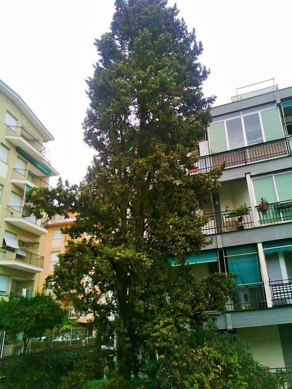 Il Centrale Rapallo Eksteriør billede